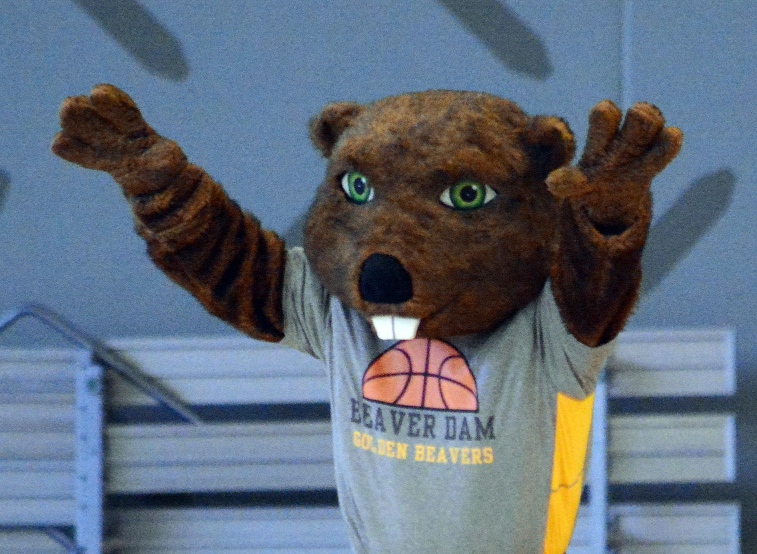 Benny the Beaver.jpg
